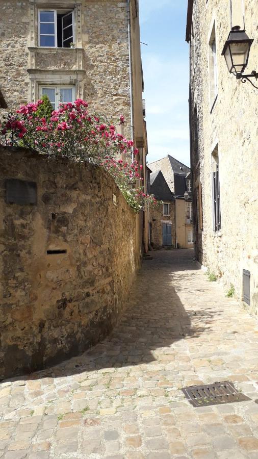 Petite Maison Romantique Coeur Historique Plantagenet, au calme Le Mans Extérieur photo